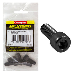 Champion - Socket Head Cap Screws - High Tensile - M10 x 25mm - Zinc Plated | C1417-14