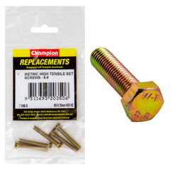 Champion - Hex Set Screws - High Tensile - M5 x 35mm - Grade 8.8 | C196-3