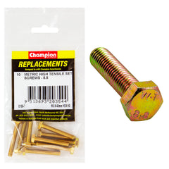 Champion - Hex Set Screws - High Tensile - M6 x 40mm - Grade 8.8 | C196-7
