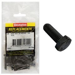 Champion - Hex Set Screws - High Tensile - M6 x 35mm - Grade 10.9 | C2431-3