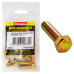 Champion - Hex Set Screws - High Tensile - M10 x 35mm - Grade 8.8 | C431-15