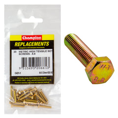 Champion - Hex Set Screws - High Tensile - M4 x 20mm - Grade 8.8 | C431-1