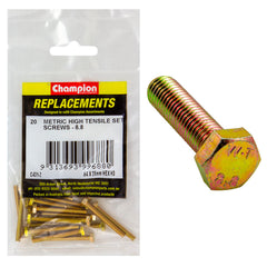 Champion - Hex Set Screws - High Tensile - M4 x 35mm - Grade 8.8 | C431-2
