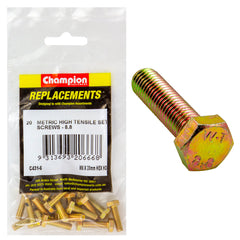 Champion - Hex Set Screws - High Tensile - M6 x 20mm - Grade 8.8 | C431-6