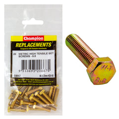 Champion - Hex Set Screws - High Tensile - M6 x 25mm - Grade 8.8 | C431-7