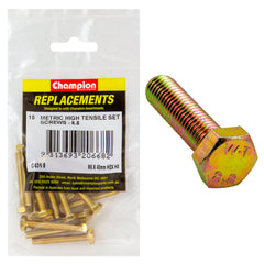 Champion - Hex Set Screws - High Tensile - M6 x 40mm - Grade 8.8 | C431-8