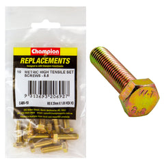 Champion - Hex Set Screws - High Tensile - M8 x 25 1.00mm - Grade 8.8 | C480-10