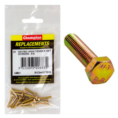 Champion - Hex Set Screws - High Tensile - M4 x 20mm - Grade 8.8 | C480-1