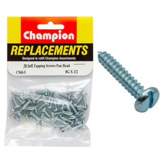 Champion - Self Tapping Screws - Pan - Slot - 4.2 x 13mm - Zinc Plated | C560-5