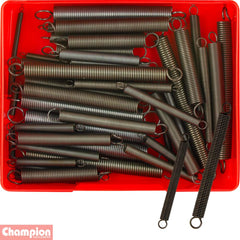 Champion - Extension Spring Assortment | CA101