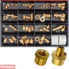 Champion - Male/female Brass Hex Adaptor Assortment | CA2064