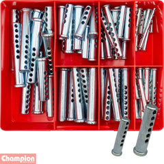 Champion - Multi Hole Clevis Pin Assortment | CA72