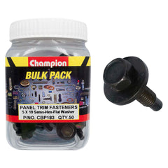 Champion - HEX SET SCREWS SEMS HEX IND FLAT WASHERS PILOT M5 x 19mm | CBP183