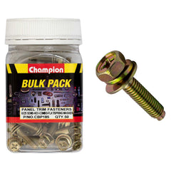 Champion - HEX SET SCREWS SEMS HEX IND COMBO DVE FLAT/SPRING WASHERS PILOT M6 x 25mm | CBP185
