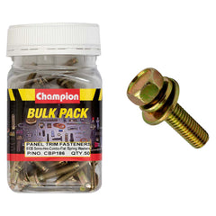 Champion - HEX SET SCREWS SEMS HEX IND COMBO DVE FLAT/SPRING WASHERS PILOT M6 x 30mm | CBP186