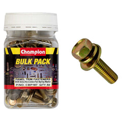 Champion - HEX SET SCREWS SEMS HEX IND FLAT WASHERS PILOT M8 x 25mm | CBP187