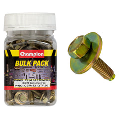 Champion - HEX SET SCREWS SEMS HEX IND FLAT WASHERS M8 x 25mm | CBP192