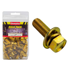 Champion - HEX SET SCREWS SEMS FLAT WASHERS M8 x 30mm | CBP44
