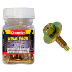 Champion - HEX SET SCREWS SEMS HEX COMBO DVE FLAT WASHERS PILOT M6 x 25mm | CBP46