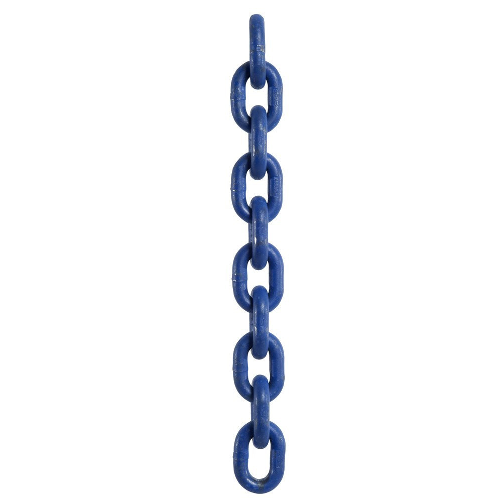 Beaver - Chain Beaver BV100 G100 13MM | CHAINBV100013MM