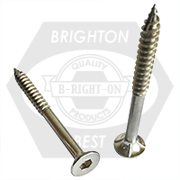 Brighton Best - 25  14G x 75 MM - BUGLE BATTEN SCREWS SS316 - LBBS147525 | D25010