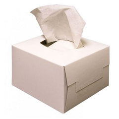 Maxisafe - Maxisafe Lint-Free Replacement Tissues For Els452, 300 Tissues Per Box | ERT448