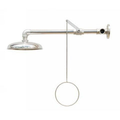 Maxisafe - Stainless Steel Wall Mounted Safety Shower | ESS496