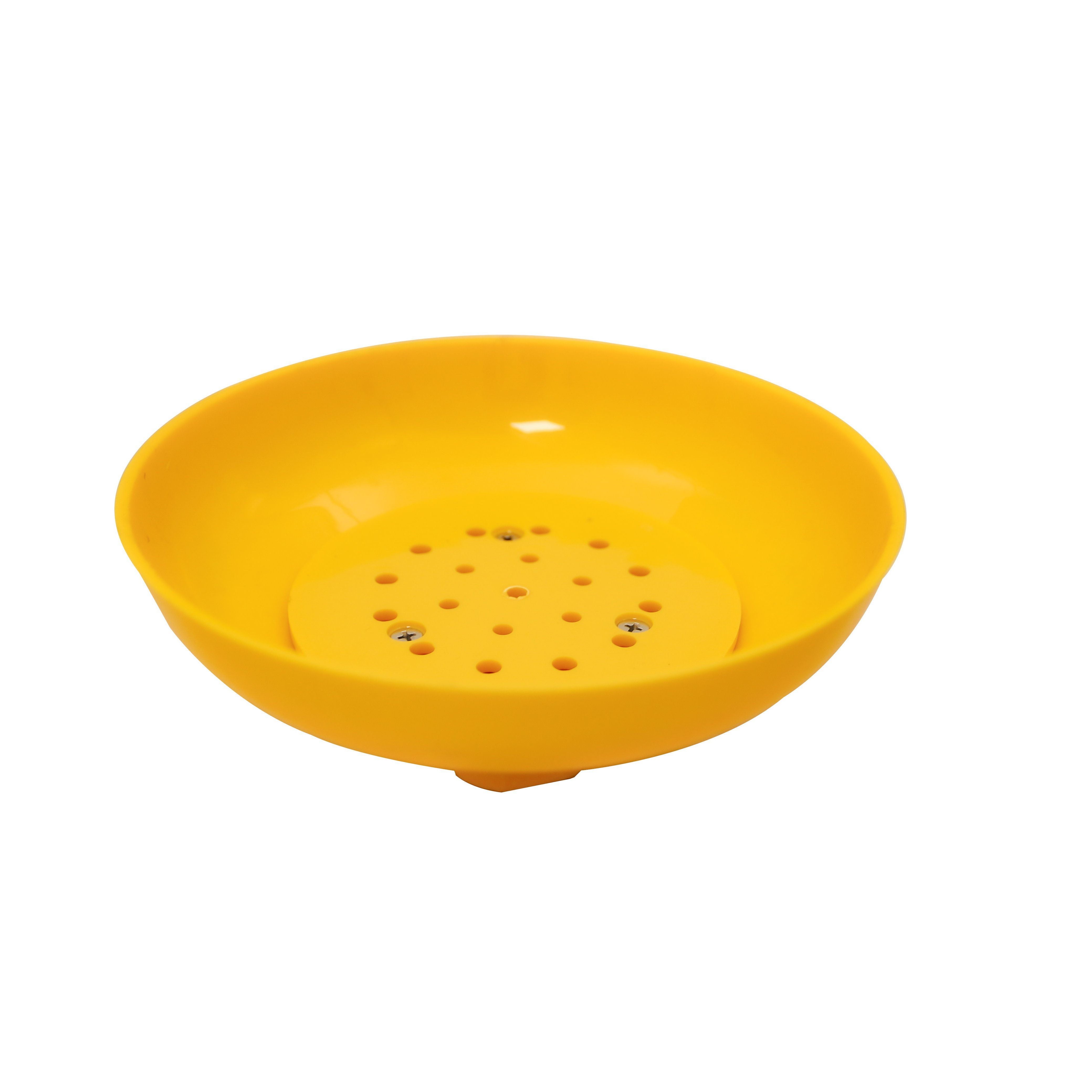 Maxisafe - Shower Head | EWS990