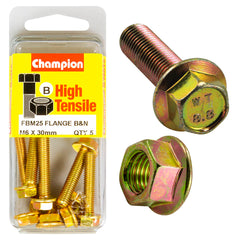 Champion - Hex Set Screws & Nuts - High Tensile - Flanged - 10AF - M6 x 30mm - Grade 8.8 | FBM25