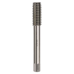 Goliath Fluteless