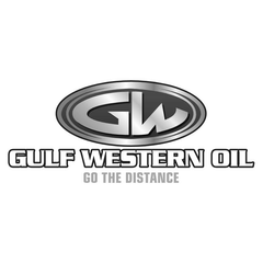 Gulf Western - Oil Filter Compatible with R2660P/GWCF15 Nissan | R2660PGWCF15