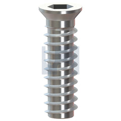 Hobsons - M6 x 30 - Rht Timber Ins CSK Hex Socket - 316 Stainless - A4 | HXTI16CRM06