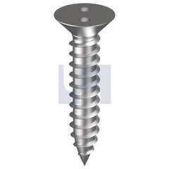 Hobsons - #10 x 1 304 STAINLESS HEC SECURITY / A2 SELF-TAPPER CSK EYE DRIVE (Pack of 100)