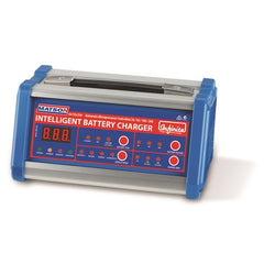 Matson - Infinite Charger 6/12/24V | IR61224