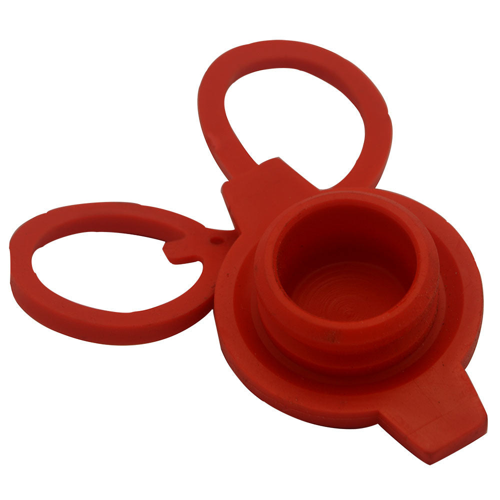 IFS Tema Dust Cap for Plug