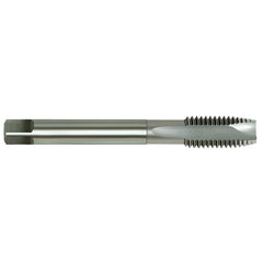 Alpha HSS-E Tap MC Spiral Point-6x1