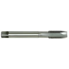 Alpha HSS-E Tap MC Spiral Point-12x1.75