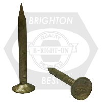 Brighton Best - 2.5KG  30 MM x 2.8 - PLASTER CLOUTS GALV - PC30280250 | N17026