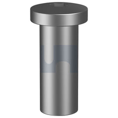 Hobsons - M10 x 34 - Barrel Nut Pan Ihex - 316 Stainless - A4 | NB16PPICM10