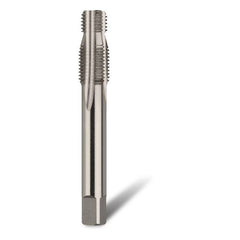 Prothread - 14 x 1.25 Chrome Pilot Nose STI Intermediate Tap | 3597-14125PN