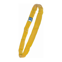 Schutts Industrial - Round Sling – 3T Heavy-Duty 3M Length
