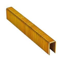 Airco -  G5562-19 High Tensile Staples. Ctn Qty: 5.000 | SG55190C