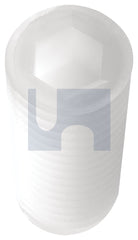 Hobsons - M5 x 10 - Nylon Natural Nylon Socket Grub Screw - Hex - Qty 100 | SG66PCM050010