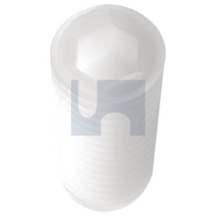 Hobsons - M8 x 10 - Nylon Natural Nylon Socket Grub Screw - Hex | SG66PCM080010