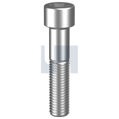 Hobsons - M16 x 110 - Socket Head Cap Screw - 316 Stainless - A4 | SH16PCM160110