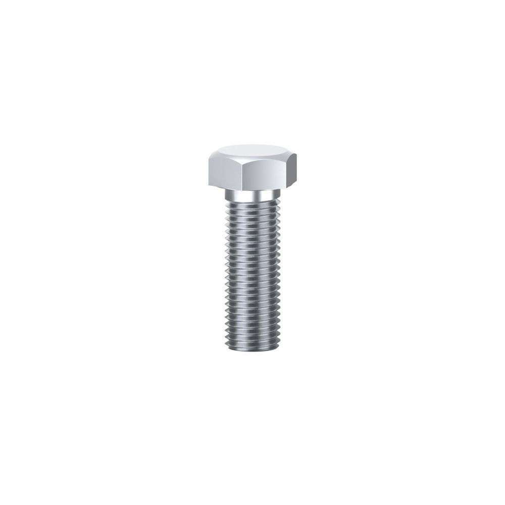 Bremick - SS316 Set Screw ISO M6 x 10mm (Box of 100)