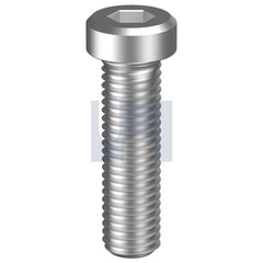 Hobsons - M6 x 16 - Socket Low Head Cap Screw - 304 Stainless - A2 | SL04PCM060016