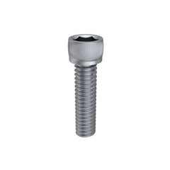 Bremick - SS316 Socket Screw CAP ISO M20 X 100 | SSCM6201002