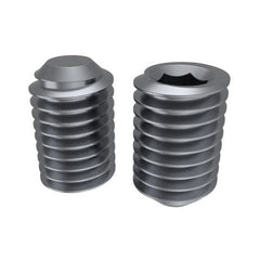 Bremick - SS304 Socket Set Screw ISO M3 x 4mm (Box of 100)