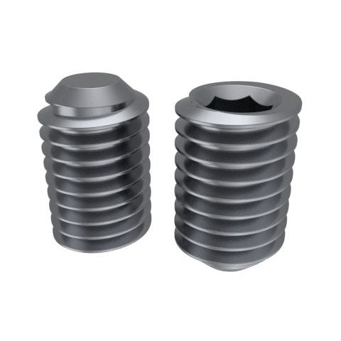 Bremick - SS316 Socket Set Screw ISO M8 x 8mm (Box of 100)